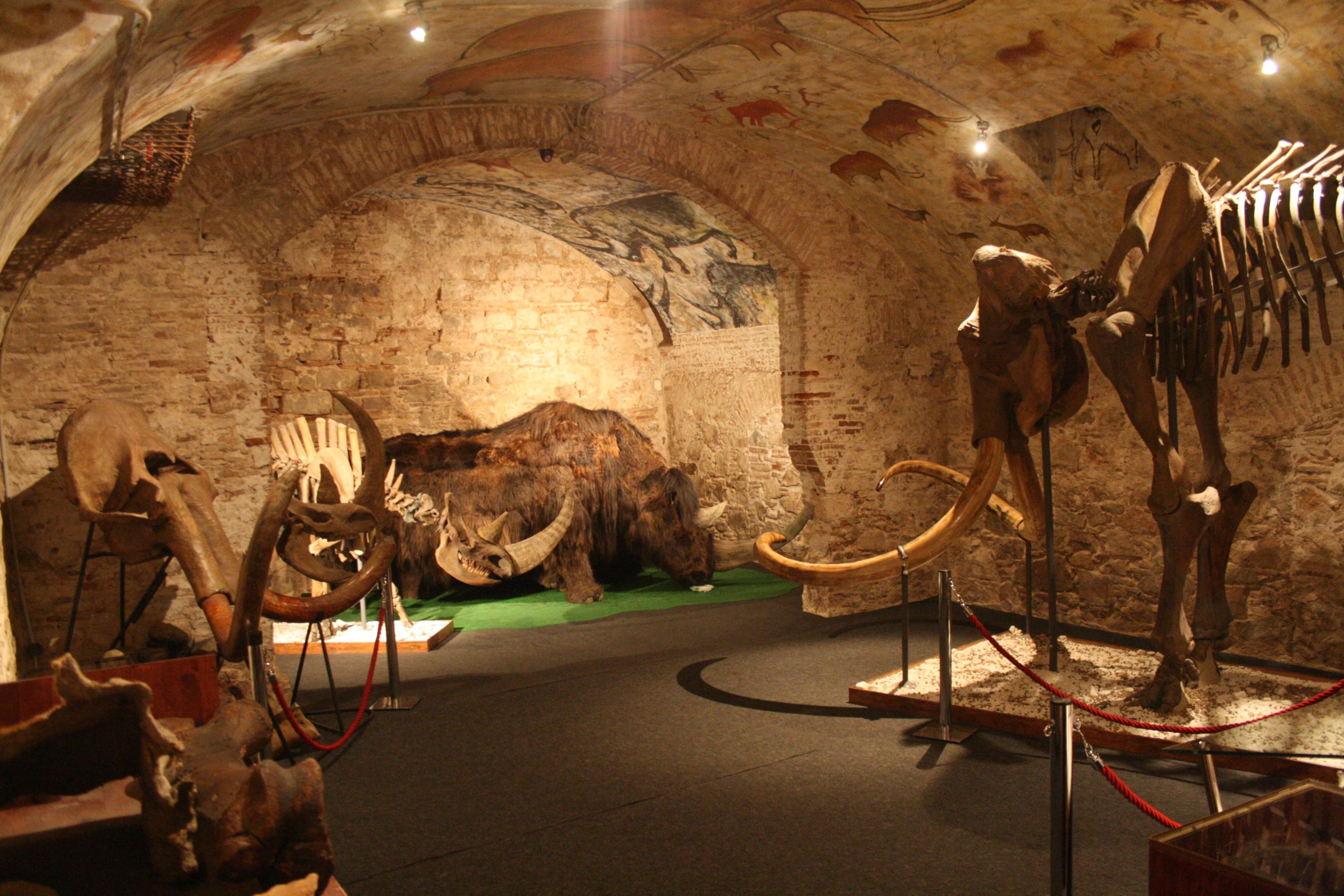 Музей ма́монта в Барселоне