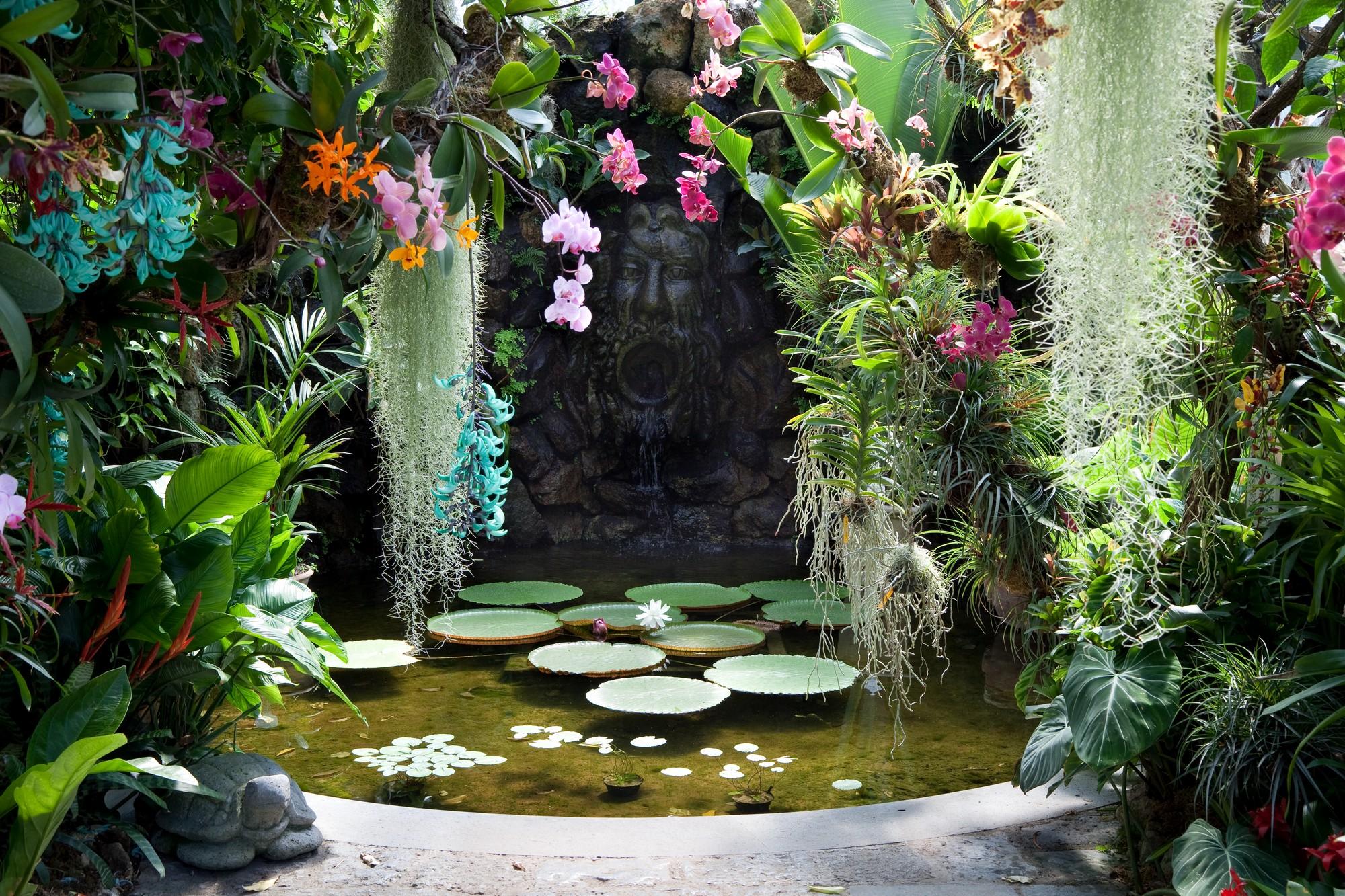Ботанический сад «Ла Мортелла»