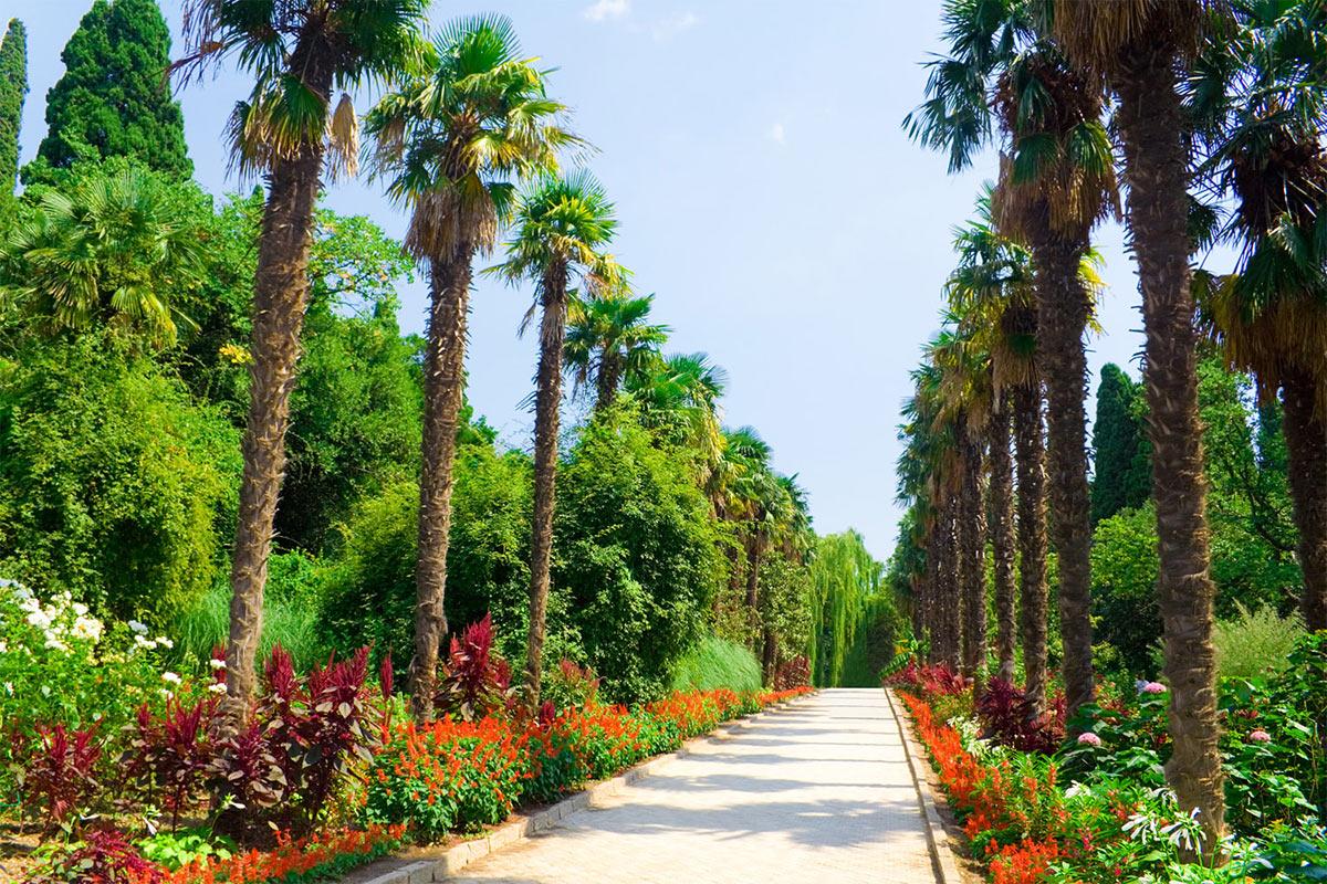 Фото Никитский ботанический сад