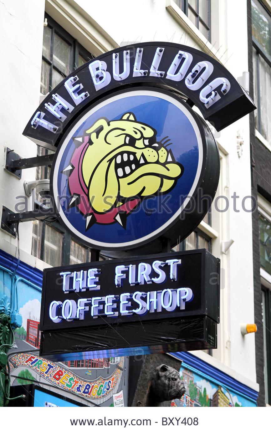 Фото Бульдог Кафешоп