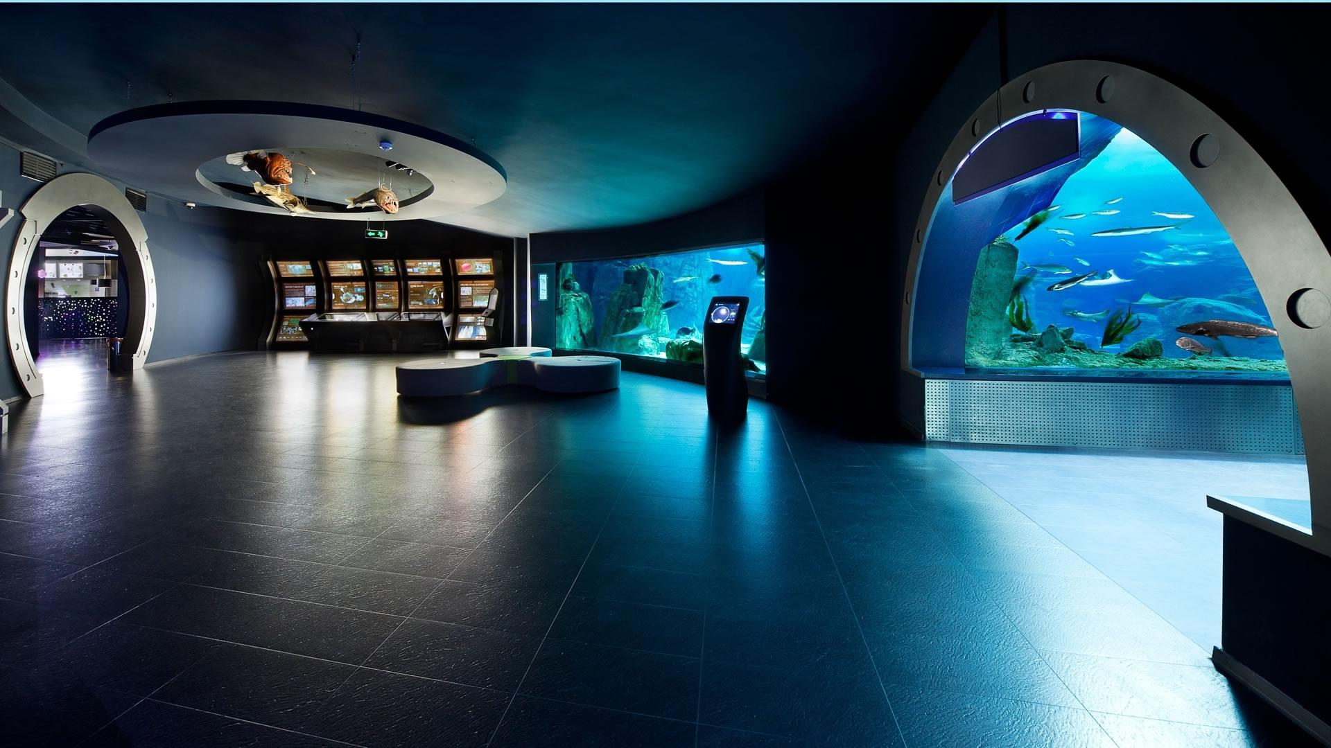 Фото Стамбульский аквариум