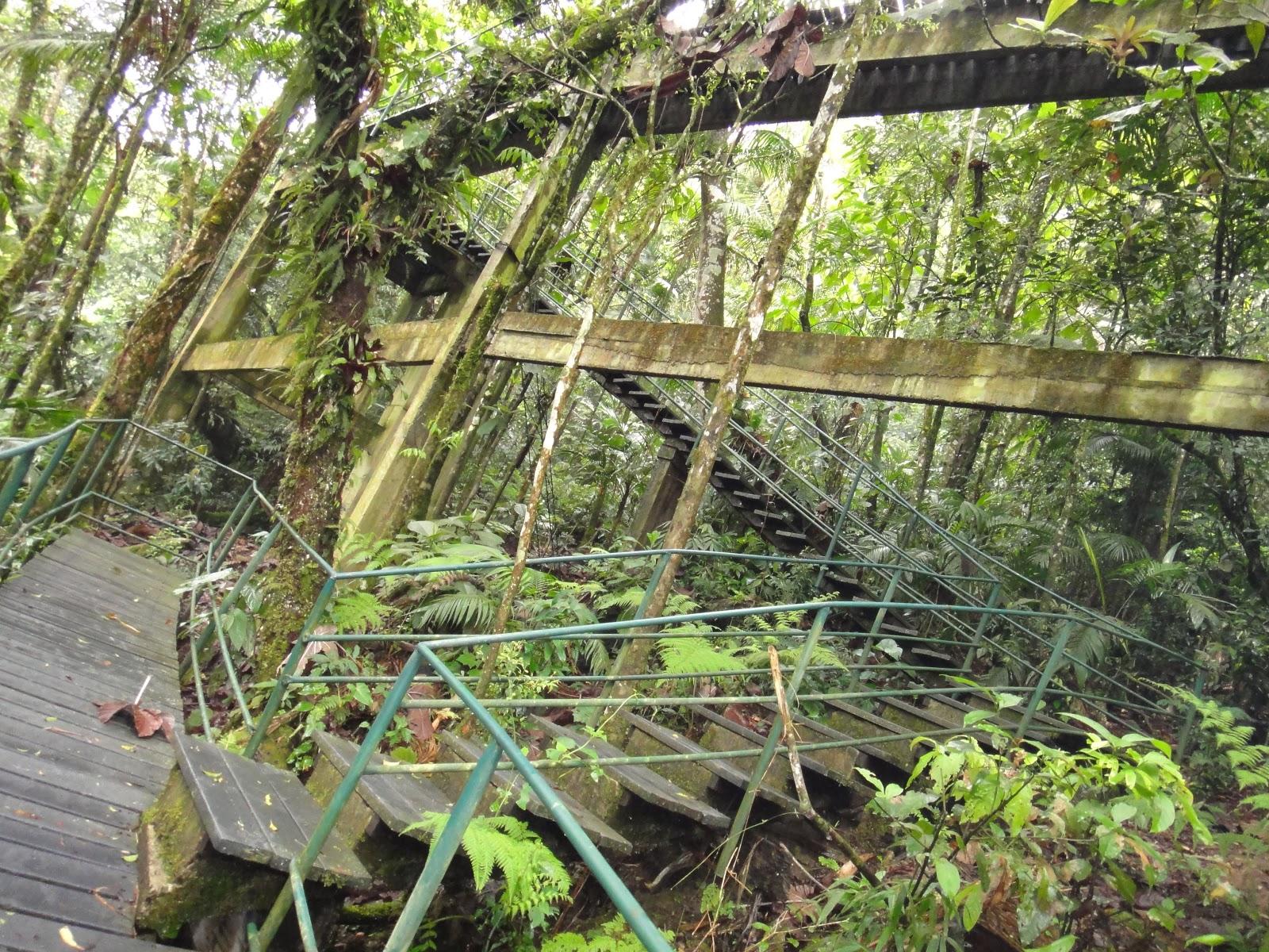 Фото Сад орхидей Аранда