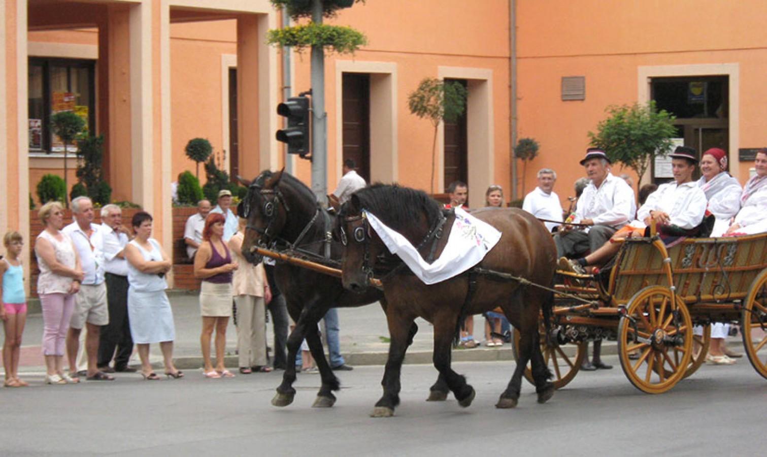 Доньи Михольяц (Хорватия)  